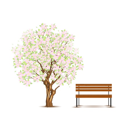 Traditional japanese tree and bench isolated on whiteのイラスト素材
