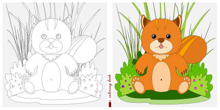 Black-and-white and color images for a color book. Contour drawing with children's themes. A squirrel is sitting in a clearing among reeds and ferns. For color books, children's prints, postcards.のイラスト素材