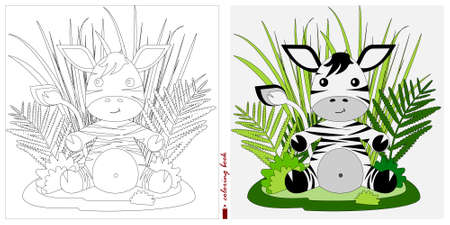 Black and white and color images for a color book. Contour drawing with children's themes. A Zebra cub is sitting in a clearing among reeds and ferns. For color books, children's prints, postcardsのイラスト素材