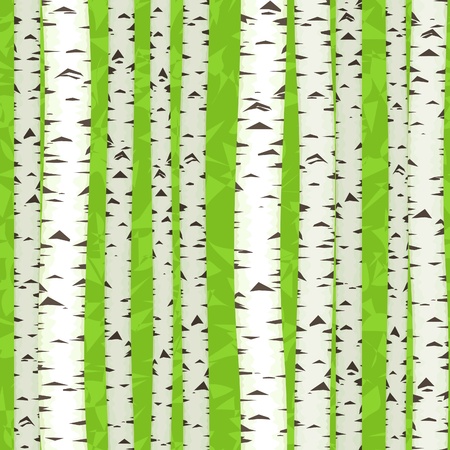 seamless birch stems illustration as spring texture backgroundのイラスト素材