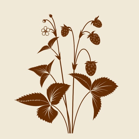 Strawberry shrub with fruits and flowers silhouette isolatedのイラスト素材