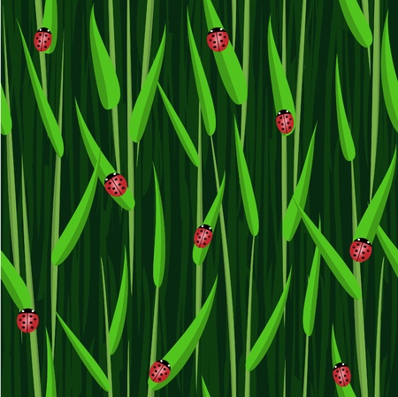 vector green grass ladybird seamless background patternのイラスト素材