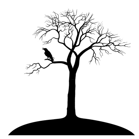 silhouette ravens on tree isolated on white backgroundのイラスト素材