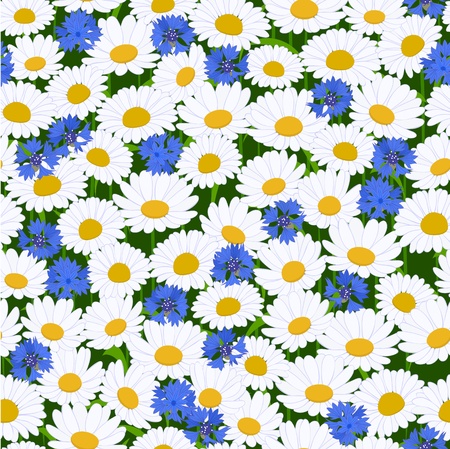 Seamless pattern with camomiles and cornflower backgroundのイラスト素材