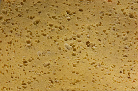 texture from foam rubberの写真素材