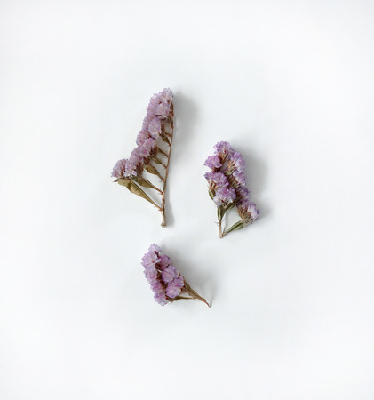 Flower, dry flower