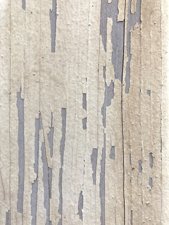 wood texture, wood backgroundの写真素材