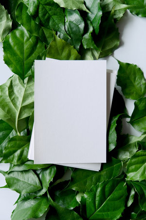 a frame made of green leaves