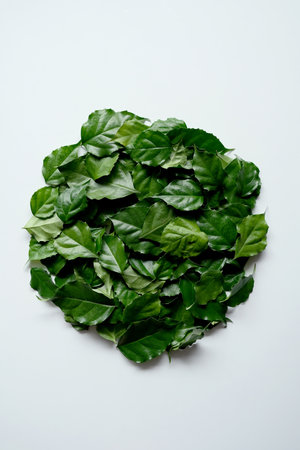 a frame made of green leaves
