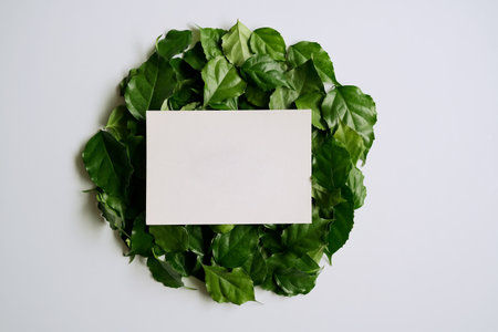 a frame made of green leavesの写真素材
