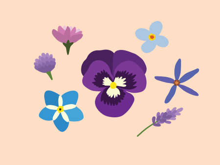 Colorful Spring Flower Pattern Plotのイラスト素材