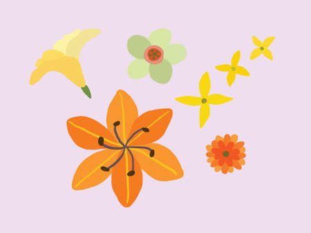 Colorful Spring Flower Pattern Plotのイラスト素材