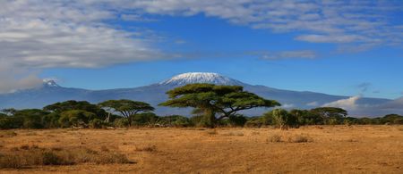 Kilimanjaro Wideの写真素材