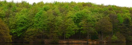Tree Line Viewの写真素材