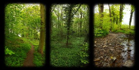 Nature Windowの写真素材