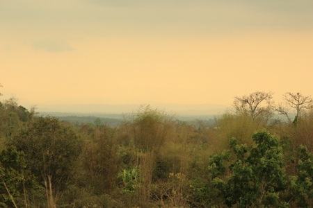 the blurry  brown Field  in the dark light の写真素材