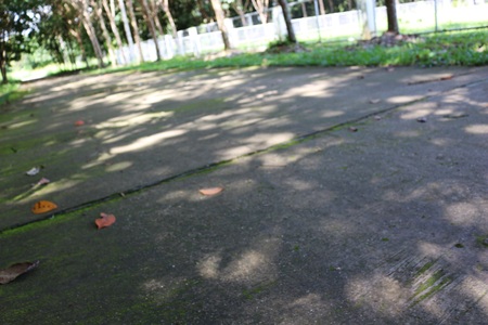 on the dark  roadの写真素材