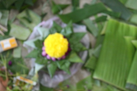 blurry banana leave vessel  Krathongの写真素材
