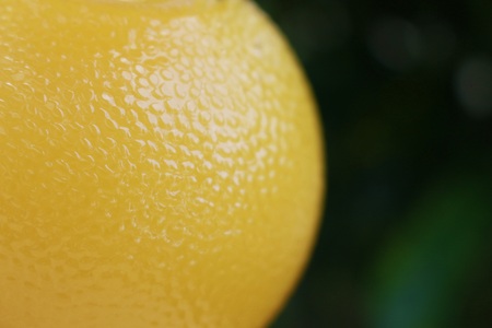 a bottle with orange juiceの写真素材