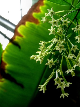 Greenの写真素材