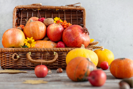 Autumn harvest pumpkins on wooden background. Autumn composition with pumpkins, apples pomegranate nuts and leaves Free spaceの写真素材