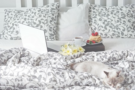 Breakfast in bedの写真素材