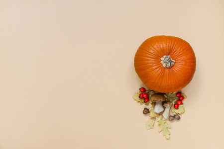 Autumn background with pumpkins, leaves, nuts, mushrooms and berries on beige background.の写真素材
