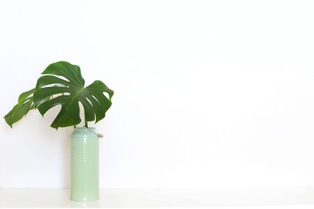 Interior with monstera leaves against a white wall, minimalism copyspace.の写真素材