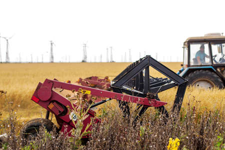 A field with ripe wheat. The tractor is harvesting the crop. Against the background of windmills, Alternative energy sources. Ecologyの写真素材