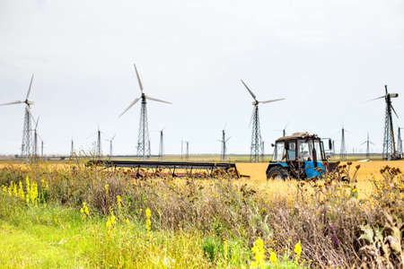 Windmills on the background of a field with ripe wheat. The tractor is harvesting the crop....