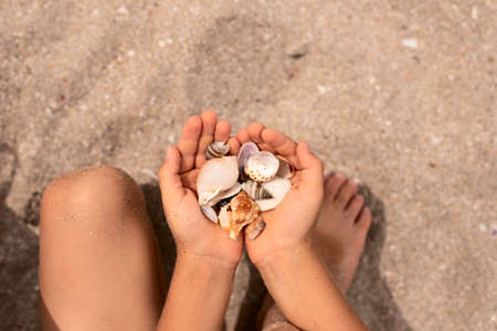 The boy is sitting on the sand and holding seashells in his hands. Top view
