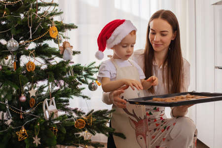Mom and son have prepared Christmas ginger cookies and put it on a baking sheet in the oven. Christmas interior, Christmas tree. Dressed in aprons and a Santa Claus hat.の写真素材