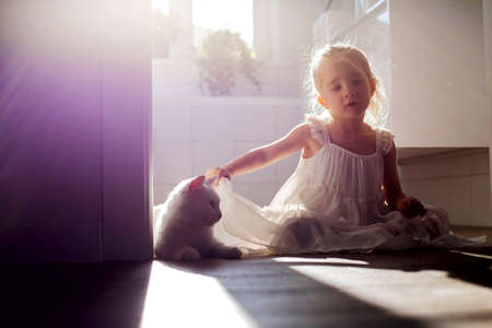 A little girl is sitting on the floor with a white cat in the shade illuminated by the rays of sunlight from the window. Light and shadowの写真素材