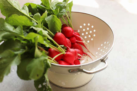 Radish washed clean with tops lies in a droushlak on a gray background. view from above.