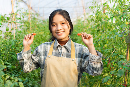 Asian female farmer portrait in cherry tomato gardenの写真素材