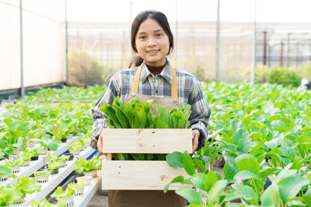 image of asian female farmer in her hydroponic vegetable gardenの写真素材