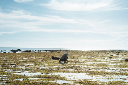 image of fisherman catching snails on the beach