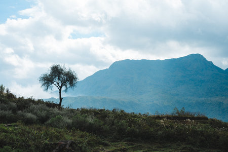 Image of beautiful cloudy mountains in Lao Cai, Vietnamの写真素材