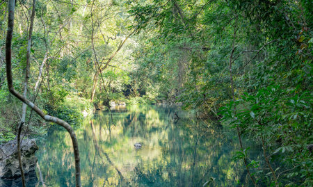 Images of clear blue streams, fresh air, Coc Bo cave, as high as Vietnam