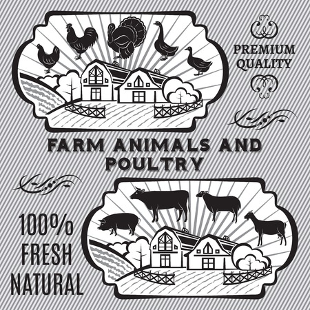 Farm animals and poultry on background with farmのイラスト素材