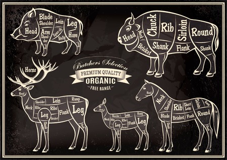 vector diagram cut carcasses of boar, bison, deer, horseのイラスト素材