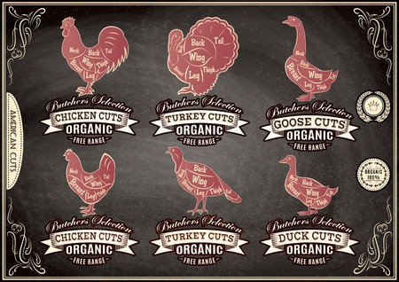 vector diagram cut carcasses chicken, turkey, goose, duckのイラスト素材