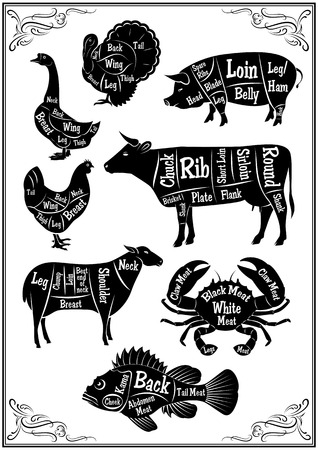 set of  diagrams of sections of different animals and seafoodのイラスト素材