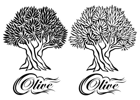 vector pattern with an olive tree for packagingのイラスト素材