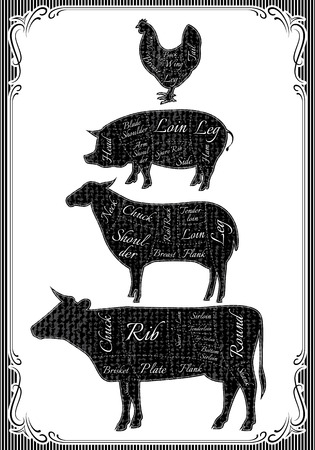 diagram cut carcasses of chicken, pig, cow, lambのイラスト素材