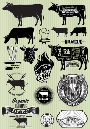 vector set of templates on the theme of cow beef for designのイラスト素材