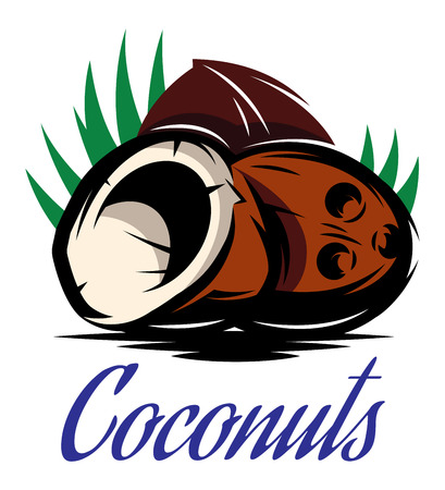 picture in retro style with three broken coconutsのイラスト素材