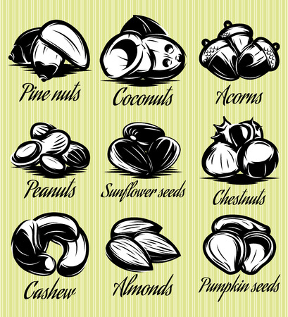 set of symbols patterns of different seeds, nuts, fruitsのイラスト素材
