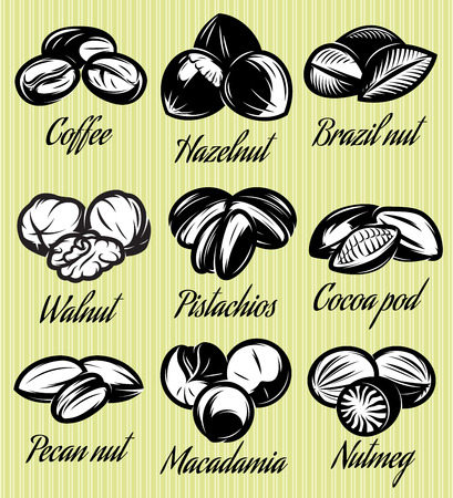 set of symbols patterns of different seeds, nuts, fruitsのイラスト素材