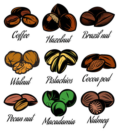 set of colored symbols patterns of different seeds, nuts, fruitsのイラスト素材